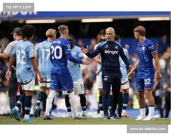 切尔西vs水晶宫，帕尔默右路突破造点引争议